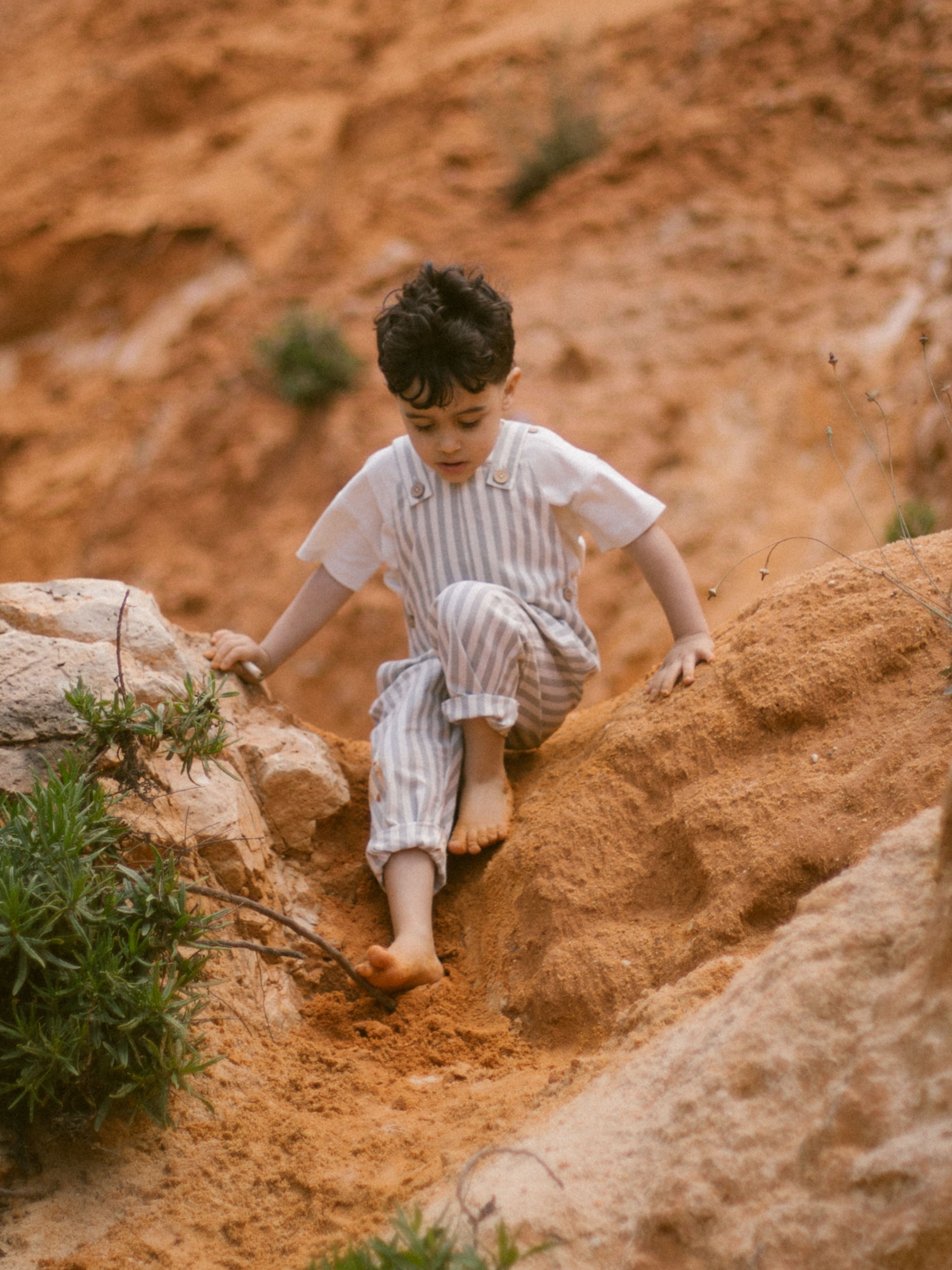 Нови продукти