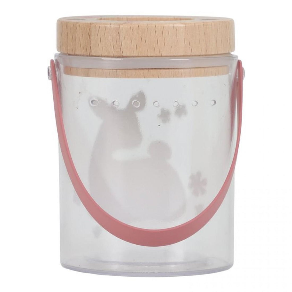 Буркан за Наблюдение на Насекоми Fairy Garden