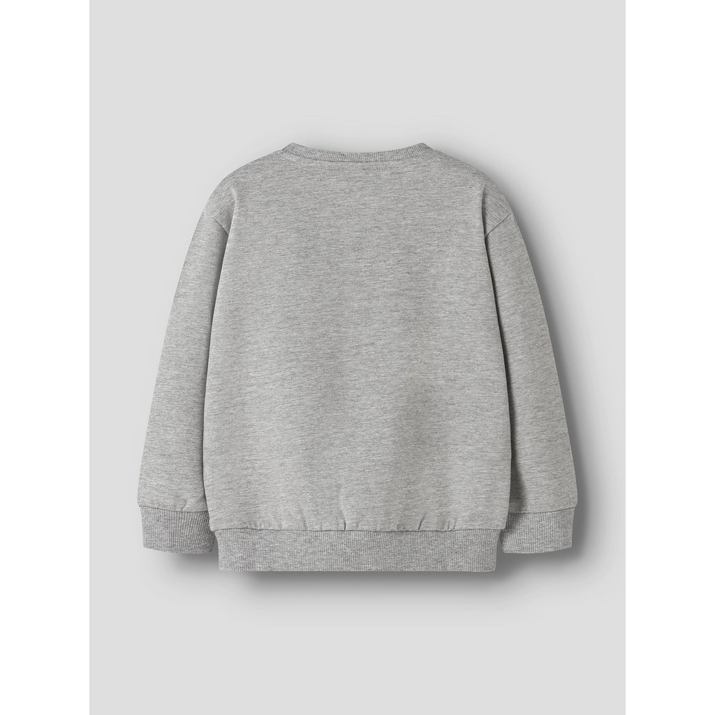 Bluză tip hanorac ROVAL Grey Melange
